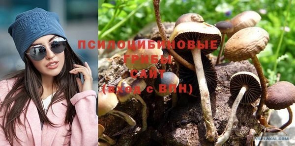 прущая мука Арсеньев