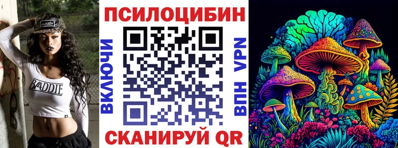 где найти   мега сайт  Псилоцибиновые грибы ЛСД  Магадан 